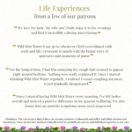 Thoughtful Gift Collection - Heritage Gifting Chest With 2 Blends - Image 8