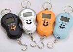 Portable Digital Travel Scale - 50kg - Image 4